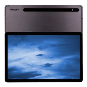 Samsung Galaxy Tab S8 X706B 5G 128GB Graphite Android Tablet Gebrauchtware gut - Bild 1 von 4