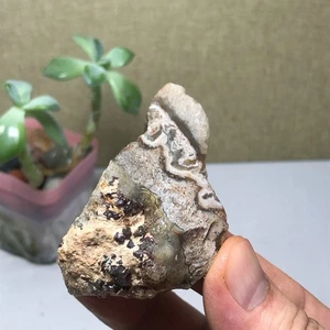 Piedra preciosa de cristal de ágata mexicana loca natural áspera espécimen original 49 g A1522 - Imagen 1 de 14