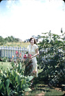 sl56 Original Slide 1950's Red Kodachrome pretty woman garden 227a