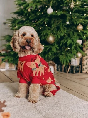Next Red Matching Family Pets Christmas Reindeer Pyjamas - Image 1 of 4