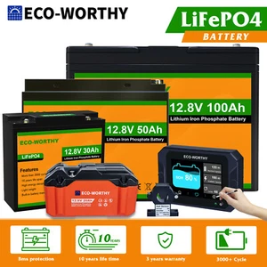 12V 20Ah 30Ah 50Ah 100Ah Lithium LiFePO4 Battery 3000+ Deep Cycles Solar Charger - Picture 1 of 27
