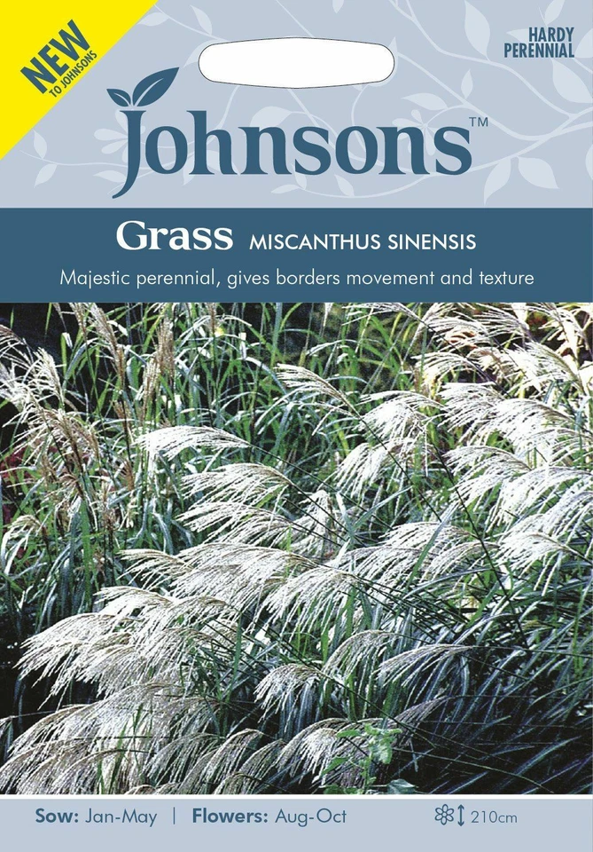 Johnson Seeds - Ornamental Grass - Miscanthus Sinensis - 50 Seeds - Image 1 of 1