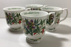 Vintage Roy Kirkham 4 Fine Bone China Mugs Herbs & Spices, Chilli-Ginger-Clove - Picture 1 of 7