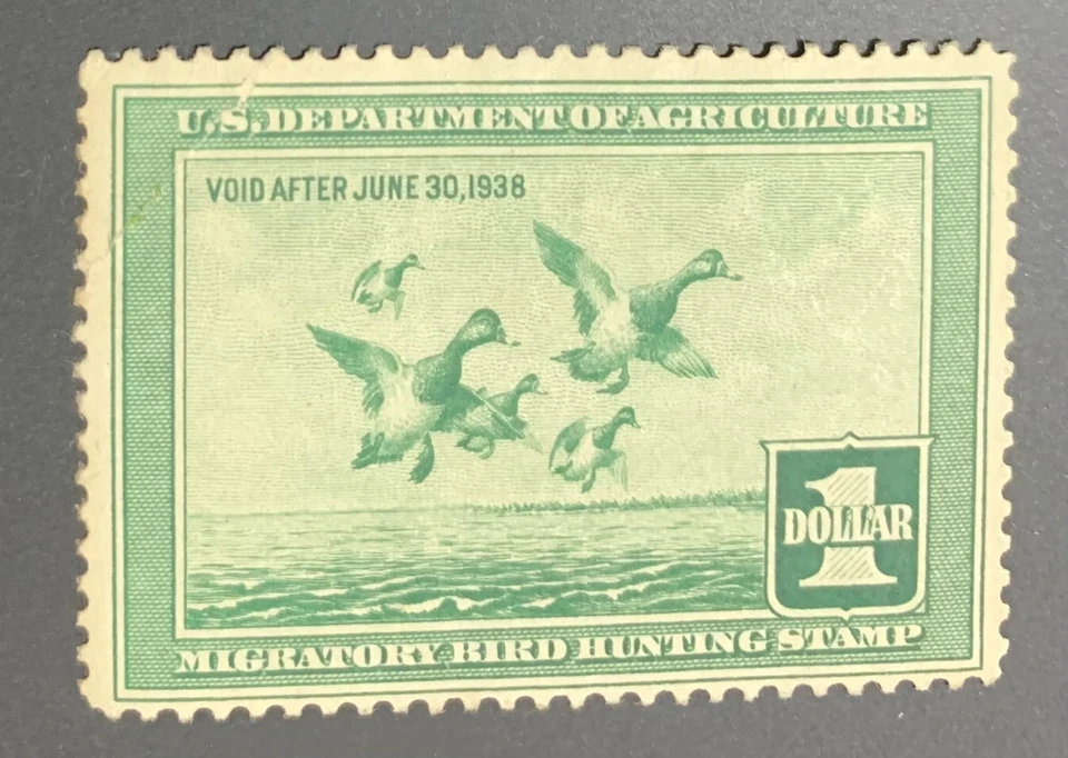 RW4 4th US Federal Duck Hunting Stamp (1937) VF OG NH Excellent cetering & gum. - Image 1 of 1