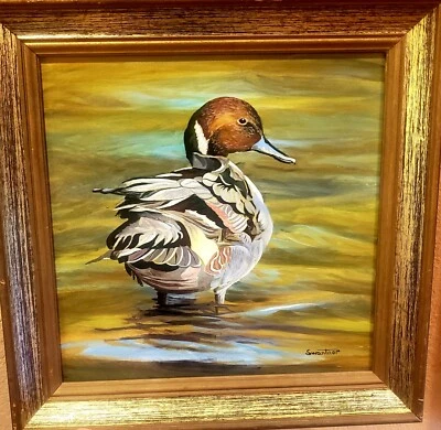 DAVID SWANTNER LISTED TEXAS ORIGINAL OIL PAINTING PINTAIL DRAKE DUCK 12 X 12  - Image 1 of 4
