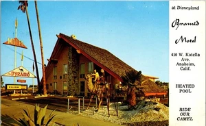 Vintage Postcard Pyramid Motel Anaheim CA Ride our Camel 1966 Near Disney - Picture 1 of 3