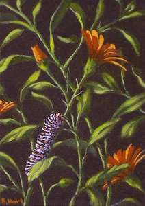 Monarch Caterpillar Original Print-Floral Artwork-Butterfly-Nature Themed Giclee - Picture 1 of 2