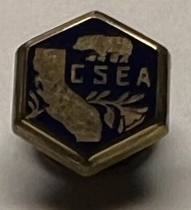 CALIFORNIA STATE EMPLOYEES ASSOCIATION LAPEL PIN 1960s Vtg - Picture 1 of 5
