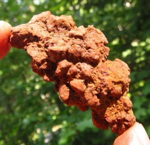 COPROLITE POWERFUL GROUNDING FOSSIL NATURAL FOSSILIZED DINOSAUR DUNG *6 - Picture 1 of 6