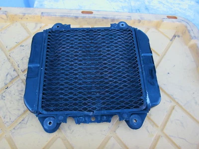 Kawasaki Ninja 250R EX250F 2006 motor fabricante original radiador motor enfriador refrigeración Foto 1 de 4