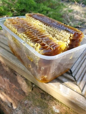 Raw Honeycomb 1000 Grams/ box , 2025 New Harvest Organic Honeycomb - Image 1 of 4
