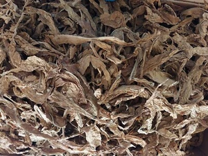   Italienischen Tabakblätter "Burley 2. Wahl"  - Bild 1 von 2