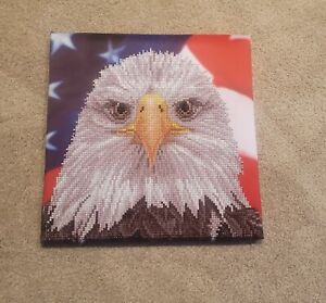 Finished Completed Diamond Painting - American Eagle