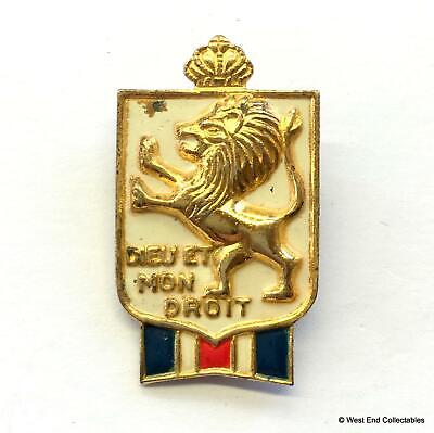 1940s WW2 Britannique Guerre Relief Haute Société Bwrs Lot Pour Bretagne Broche • 30.66€