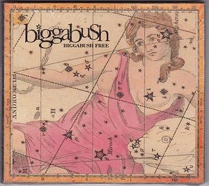 Biggabush - Biggabush Free - CD (SD123 2004 Stereo Deluxe Germany) - Picture 1 of 2
