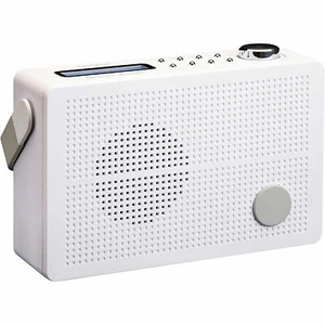 Radio Portátil, Digital, Dab+,FM, Pantalla LCD, Despertador, Batería Recargable - Imagen 1 de 3