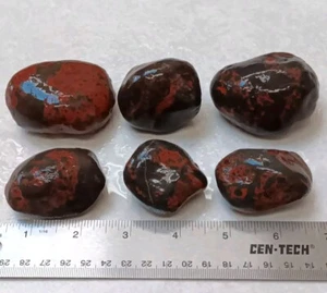 6 Michigan Jasperlite Stones Natural Lake Superior Beach Rocks - Picture 1 of 8