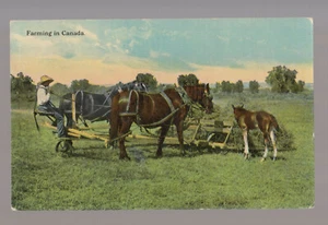POST CARD Farming in Canada Horse power baler colt - Picture 1 of 1