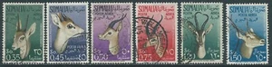 1955 SOMALIA AFIS POSTA AEREA USATO ANIMALI - P31-9 - Picture 1 of 1