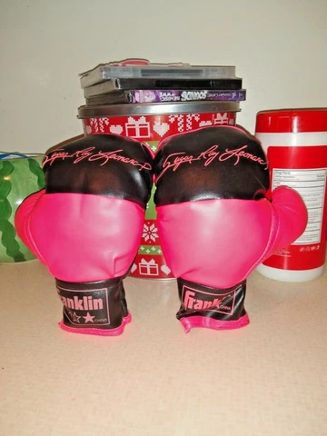 Vintage Rare Franklin Sugar Ray Leonard Kids Boxing Gloves Cover