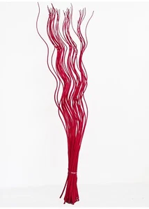 Spiral Corkscrew Curly Willow Twigs Bunch Cherry Red Bright Bold Tall Ting 120cm - Picture 1 of 8