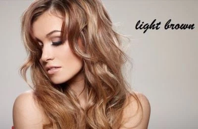 Henna Hair Dye Light Brown ORGANIC Hair Color Powder Conditioner Chemical Free - Image 1 of 4