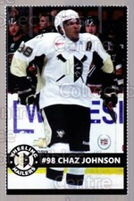 2014-15 Wheeling Nailers #12 Chad Johnson