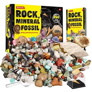 Rocks Minerals & Fossils Collection for Kids 250+ Real Gemstones and Crystals... - Picture 1 of 6
