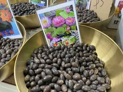 Lotus seeds Foto 1 de 4