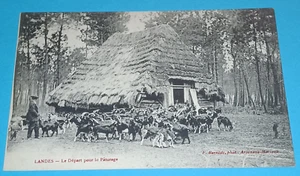 CPA 40 LANDES - Le Départ pour le Pâturage - Imagen 1 de 2