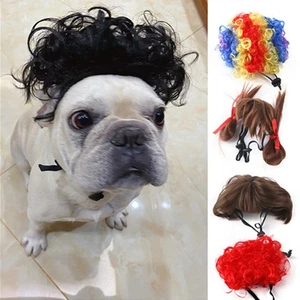 Funny Dog Wigs for Small Medium and Large Dogs Pet Wigs for Halloween, Christmas - Picture 1 of 25