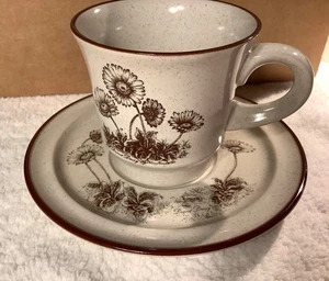 5 SETS CUPS & SAUCERS NORITAKE STONEWARE DESERT FLOWERS DAISY JAPAN 8 OZ. 3-1/8" - Picture 1 of 10