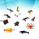  12 Stck. Kinder Lernspielzeug Mini tropischer Fisch Kind Tiermodell