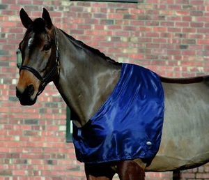 Weatherbeeta Satin Shoulder Guard - Picture 1 of 1