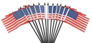 Paquete de 12 4x6 en Estados Unidos pequeño escritorio en miniatura y pequeñas banderas de mesa de Estados Unidos - Imagen 1 de 1