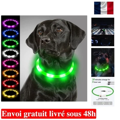 Collier LED pour Chien - Rechargeable, Sécurisé et Tendance, Disponible en Vert - Photo 1/4