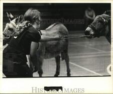 1973 Press Photo College Student Pulls Donkey in Donkey Basketball Game, Texas