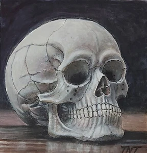 Human Skull on Table Halloween Watercolor Detailed Realistic Art Signed 8"x 8" - Picture 1 of 2