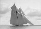 The Handsome Racing Schooner Waterwitch 1911 OLD SHIPPING PHOTO