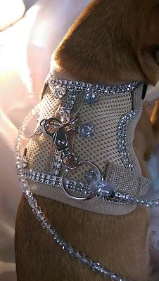 Softgeschirr  Brustgeschirr Hundegeschirr beige Glitzer Herz Halsband XS-M - Bild 1 von 4