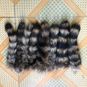 10Pcs/lot- 10" Real Raccoon Fur Tail Cosplay Toy Tassels - Picture 1 of 7