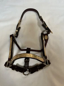 Western Show Halter Dark Oil Leather Weanling - Picture 1 of 7