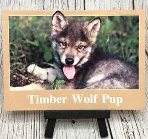 Holz Wolf Welpe Postkarte - Bild 1 von 4