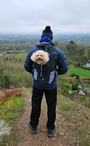Pet Dog Carrier Puppy Travel Mesh Backpack Front Travel Portable Shoulder Bag Uk - Picture 1 of 13