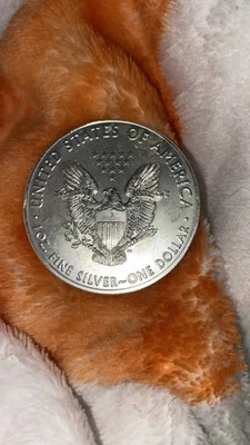 American Eagle 2020 de plata de 1 oz Foto 1 de 2