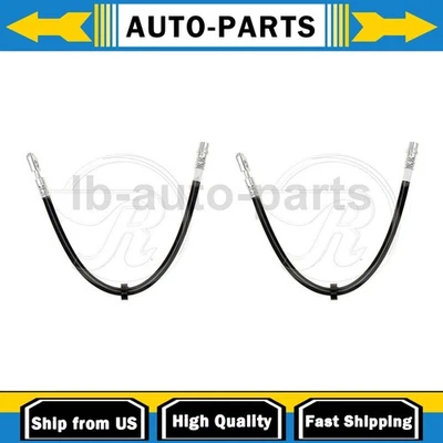 2x Línea de manguera de freno delantera Raybestos para Volkswagen Jetta 2,0 L 2000-2005 Foto 1 de 4
