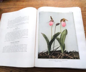 Wild Flowers By Homer D. House   Fifth Printing, September, 1942   HC - Bild 1 von 7