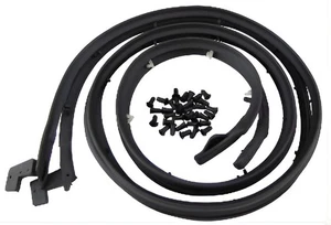 1962-63 TEMPEST DOOR WEATHERSTRIP, 2 DOOR CONVERTIBLE - Picture 1 of 1