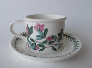 Taza y platillo de jardín botánico Portmeirion rododendro vintage Inglaterra - Imagen 1 de 6