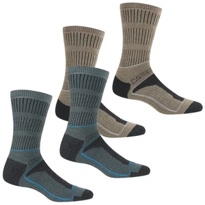 Regatta Womens Lady Samaris 3 Seasons Walking Socks - Picture 1 of 7